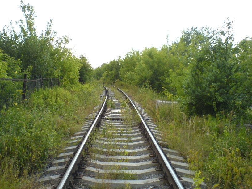 Вид в сторону станции Черкизово